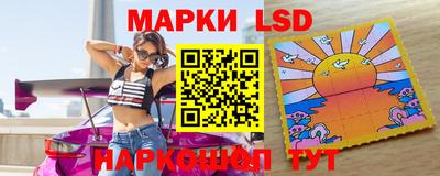 шишки Новодвинск