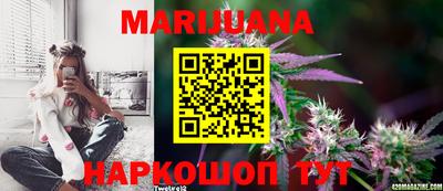 шишки Новозыбков