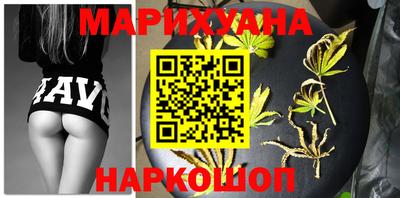 шишки Новодвинск