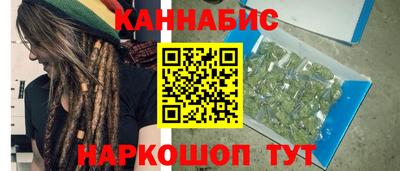 шишки Новодвинск