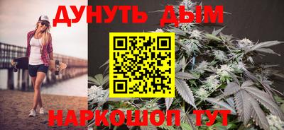 шишки Новодвинск