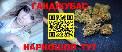 шишки Новодвинск