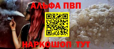 шишки Новодвинск