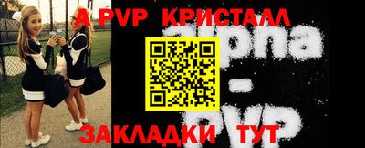 шишки Новозыбков
