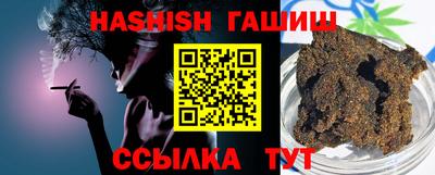 шишки Новодвинск