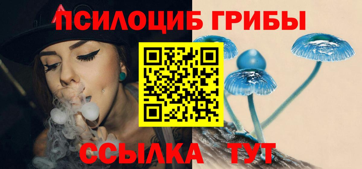 Сибай  Псилоцибиновые грибы прущие грибы  Вход с VPN  Псилоцибиновые грибы GOLDEN TEACHER 