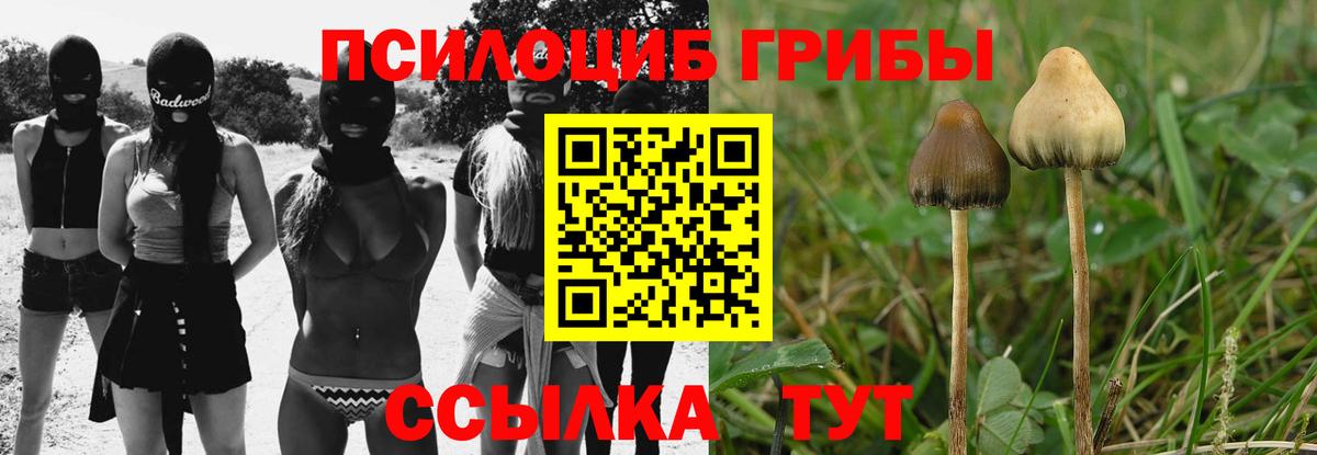 Галлюциногенные грибы мицелий Сибай